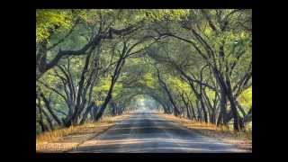 The Sandpipers   The Drifter