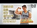 增肌究需要多少的蛋白质 | How Much Protein to Grow Muscles | Terrence Teo