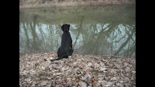 in my own mind_0001.wmv