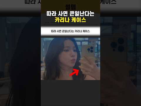 따라 사면 큰일난다는 카리나 케이스