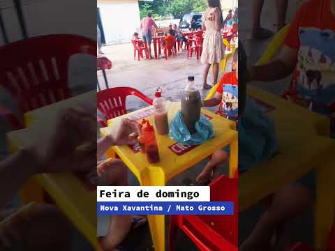 Feira de domingo , Nova Xavantina  / MT