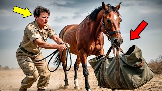 Female Veteran Catches A Mustang Dragging a Heavy Bag — What’s Inside Leaves Her Speechless