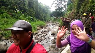 preview picture of video 'Trip to Madakaripura waterfall 2 lanjutan'