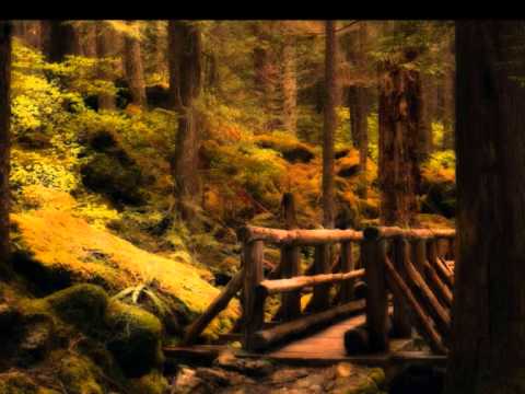 Hajime Yoshizawa - Arpegio in the Forest