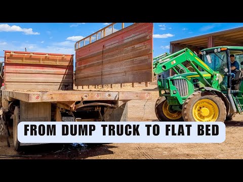 Farm Renovations | Installing Demilare LED Lights