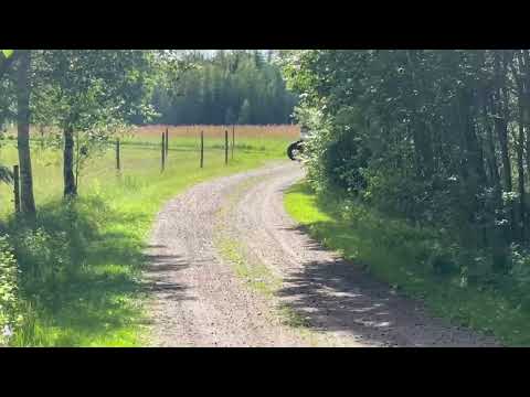 Videoklipp