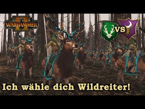 Mobile Waldelfen vs Dunkelelfen - Total War: Warhammer 2 Deutsch