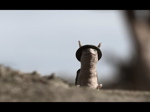 Weird and Wonderful Creatures - WW1 Uncut: Dan Snow