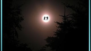 To Know You Is To Love You - T Rex