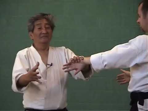 Henry Kono Sensei - Aikido Secrets Revealed to the Irish