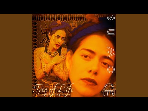 Nueve viento – Lila Downs