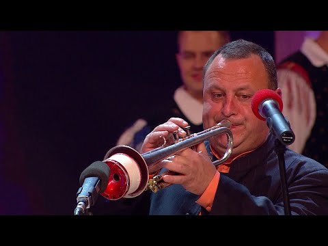 Modrijani in Štajerskih 7 - Noč Modrijanov 2014