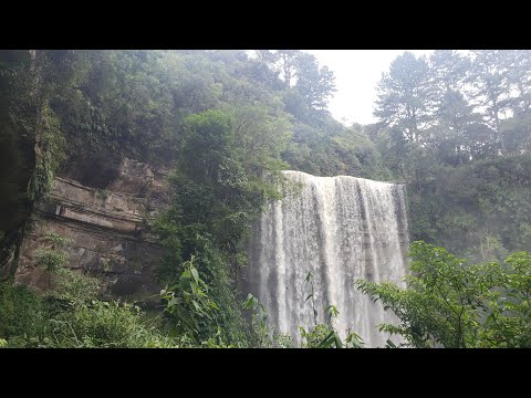 ASSIM esta POR AQUI NESTE DOMINGO /BLUMENAU SANTA CATARINA 