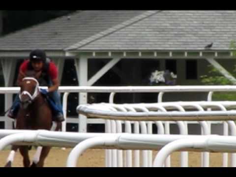 Questing breezes August 11 at Greentree for G1 Alabama