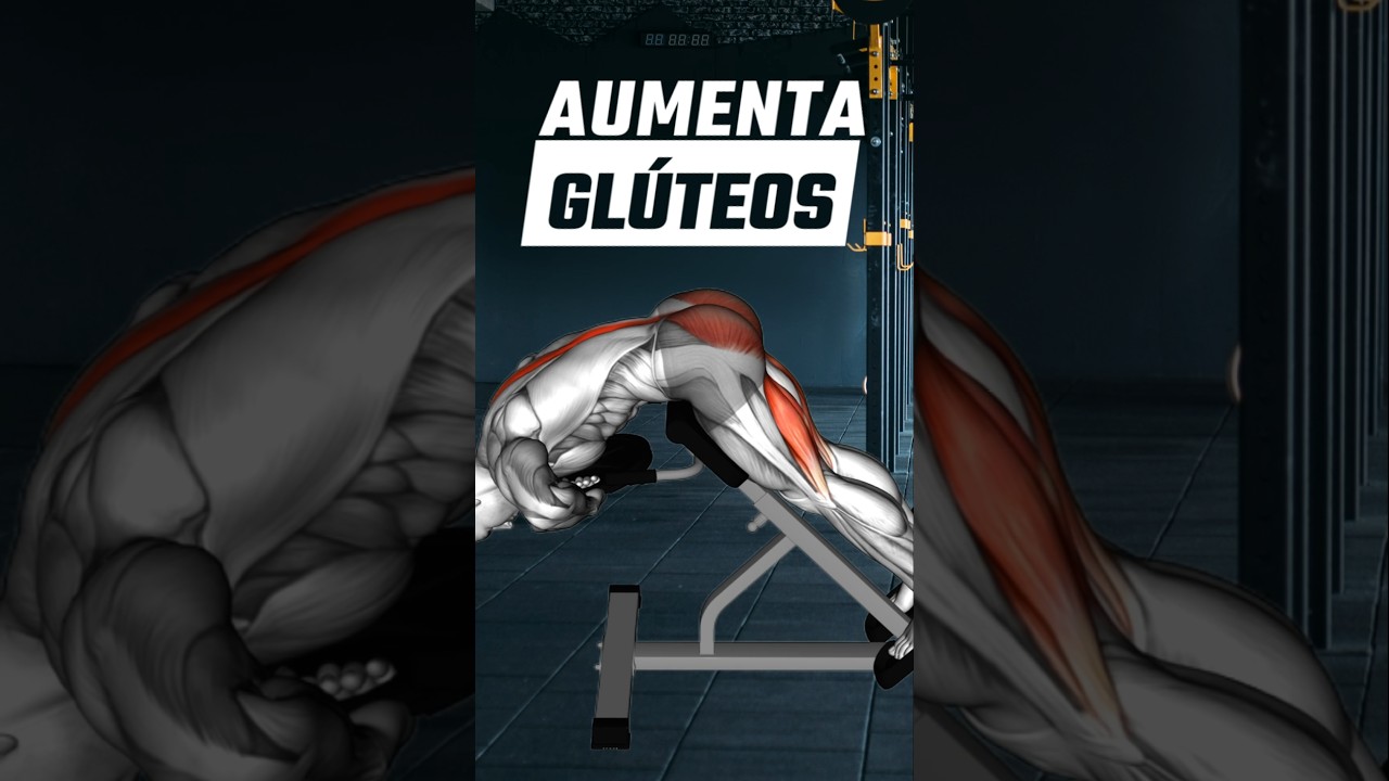 Gluteo