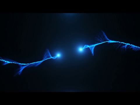 Smite Italia Duel Clean feed