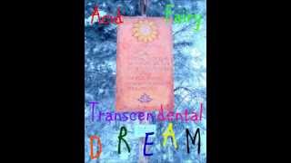 Acid Fairy - Transcendental Dream (Psyhedelic Trance mix)