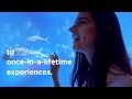 Once In A Lifetime Experiences At Atlantis The Palm