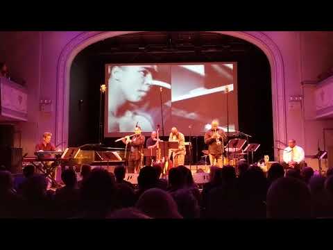 Craig Harris Brown Butterfly