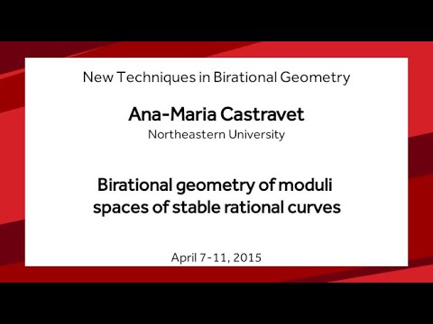 Birational geometry of moduli spaces of stable rational curves - Ana-Maria Castravet