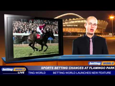 Sports betting chances at Flamingo Park
