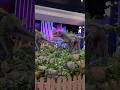 Dinosaurs Dubai IMG WORLD Shortvideo Shorts