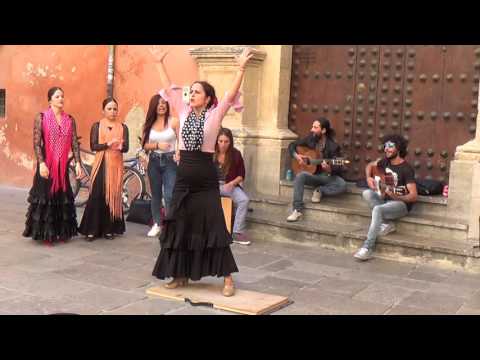 Flamenco dance (1) in Granada 2015
