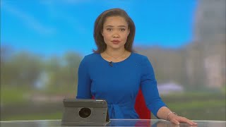 How tariffs could impact gun dealers