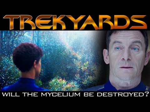 Will the Mycelium Spore Network be lost forever? - Trekyards Analysis