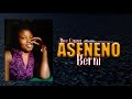 Aseneno Berni Alice Ogang Official Audio