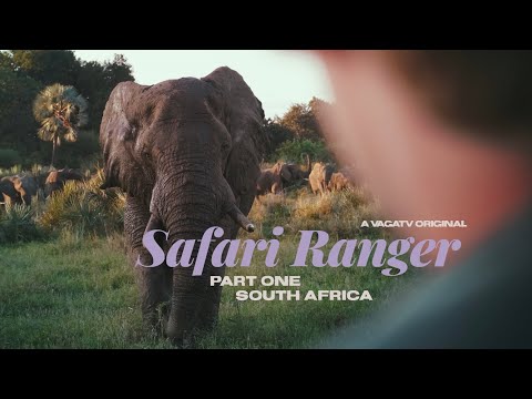 Wir werden SAFARI RANGER – Teil 1 (Ep. 3)