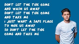 The Tide - Niall Horan (Lyrics)