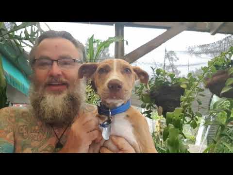 ACIM WB Lesson 43 ~ A COURSE IN MIRACLES WORKBOOK LESSONS ~ 365 DAYS W/ DAVE PHARE