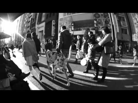 ipanglazuardi - KAMU