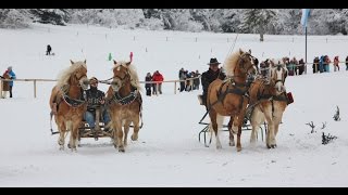 preview picture of video 'Pferdeschlittenrennen und Skijöring in Parsberg bei Miesbach'