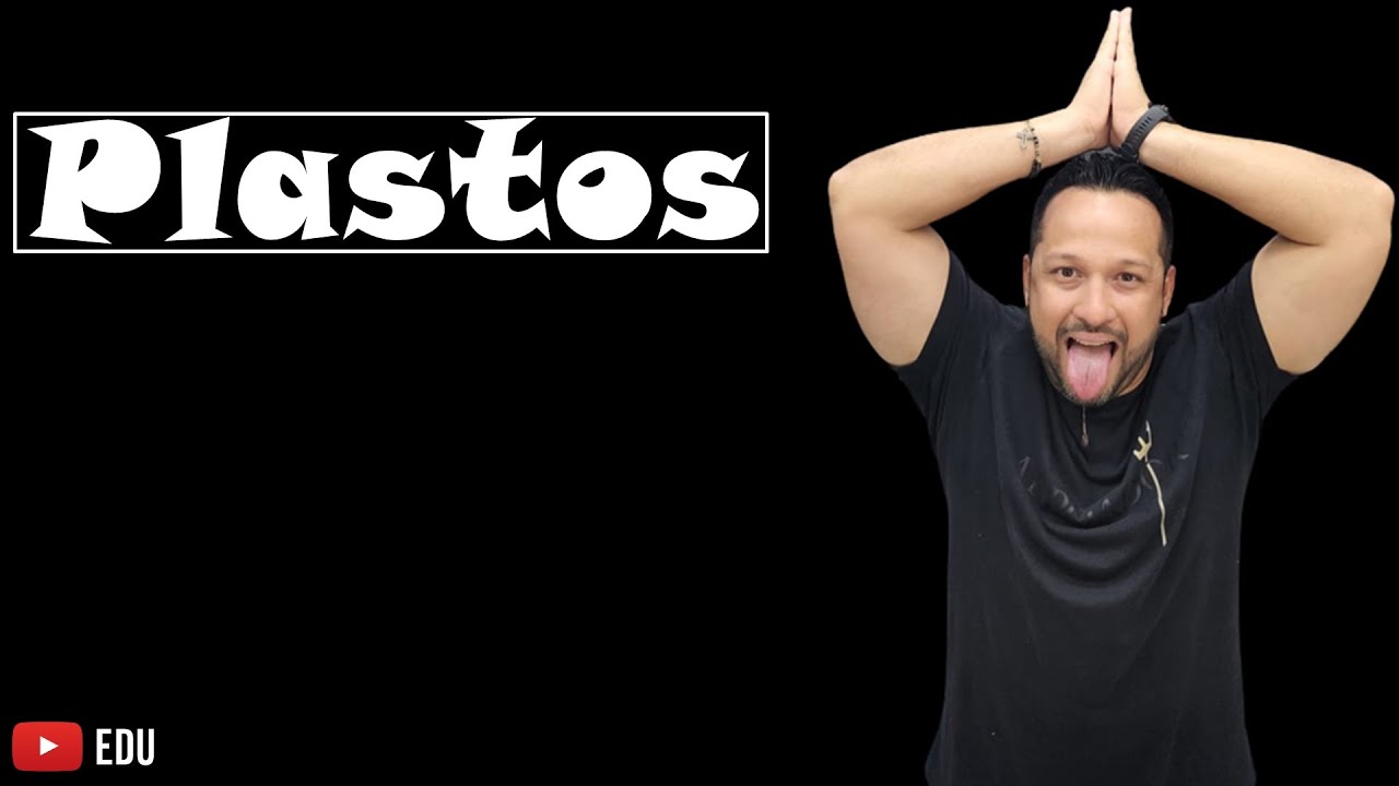 Plastos - Características, Funções e Tipos - Organela Citoplasmática - Citologia