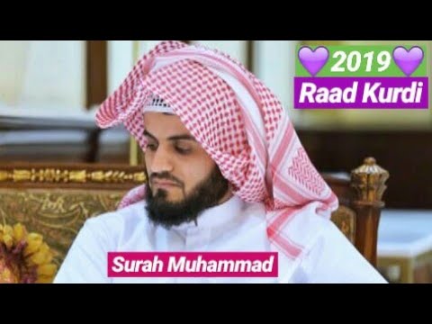 Download 73+ Contoh Surat Yasin Raad Al Kurdi Terbaru Gratis