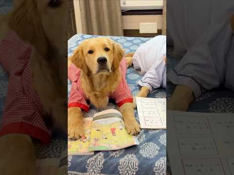 Leo or reo ne kari padai😂 #shorts | Anant Rastogi