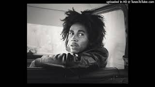 Bob Marley - I'm Hurting Inside