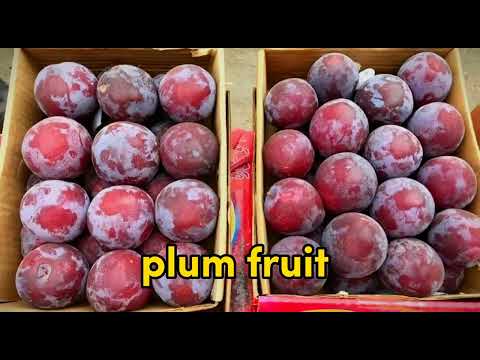(special 10 fruits of summer) Garmio k khas 10 fruits.