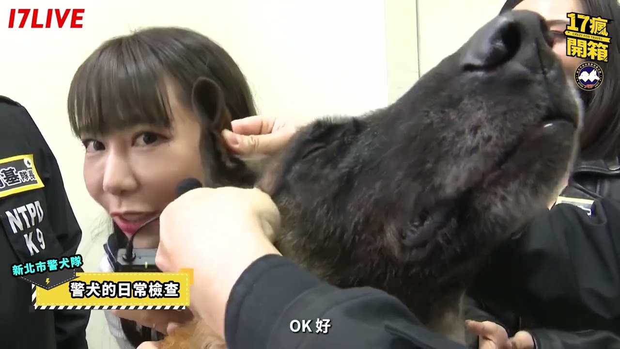 影片縮圖