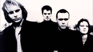 The Auteurs - Some Changes