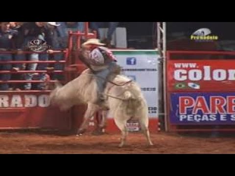 Final rodeio de Colorado PR 2012