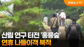 산림 연구 터전 '홍릉숲'…연휴 나들이객 북적 / 연합뉴스TV (YonhapnewsTV)