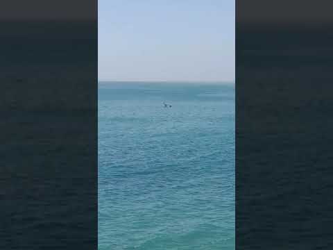 Surfparadise Thagazout Agadir Morocco