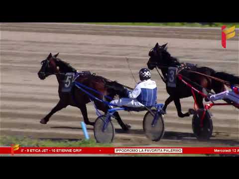 V Corsa del 12 aprile 2023 - 3 Anni - Metri 1600 - Gentlemen