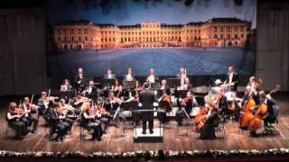 Schönbrunn Orchester