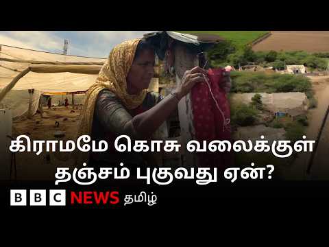 கொசுத் தொல்லையால் ஒட்டுமொத்த கிராமமும் கொசு வலைக்குள் வாழும் அவலம்