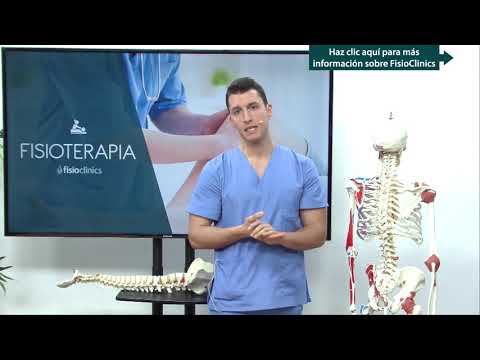 Tratamiento del Síndrome del piramidal o falsa ciática en FisioClinics Bilbao