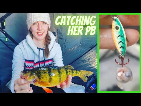 Ice Fishing for Jumbo Perch on Crooked Lake Saskatchewan